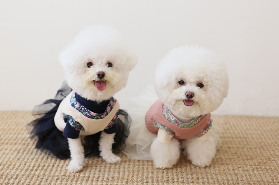 Quilted Hanbok Vest (2 colors)