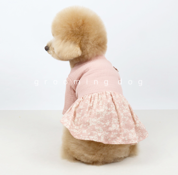 Organic Hanbok (2 colors)