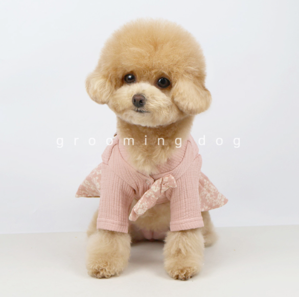 Organic Hanbok (2 colors)