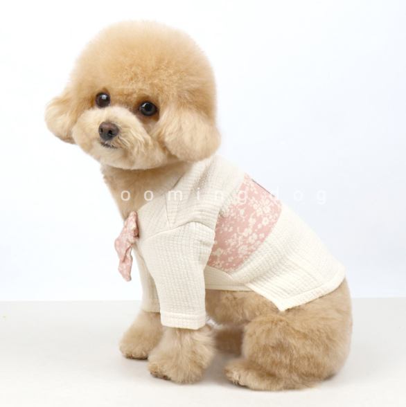 Organic Hanbok (2 colors)