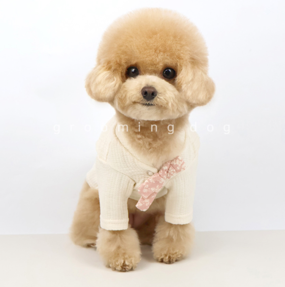 Organic Hanbok (2 colors)