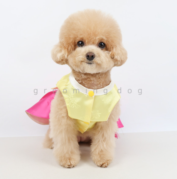 Traditional Hanbok (2 colors)