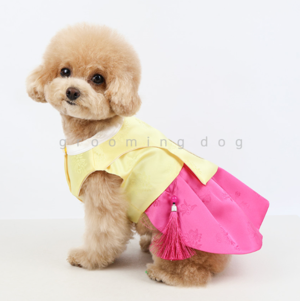 Traditional Hanbok (2 colors)
