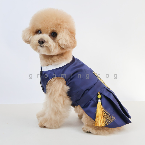 Traditional Hanbok (2 colors)
