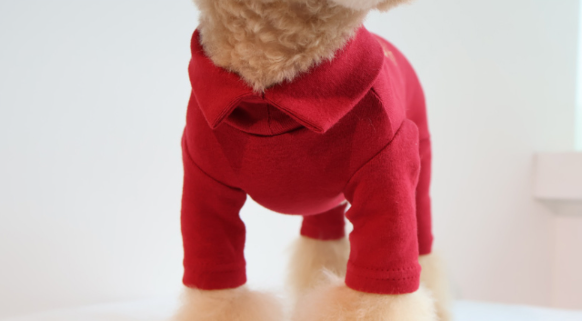 Classic Gold Emblem Onesies (2 colors)