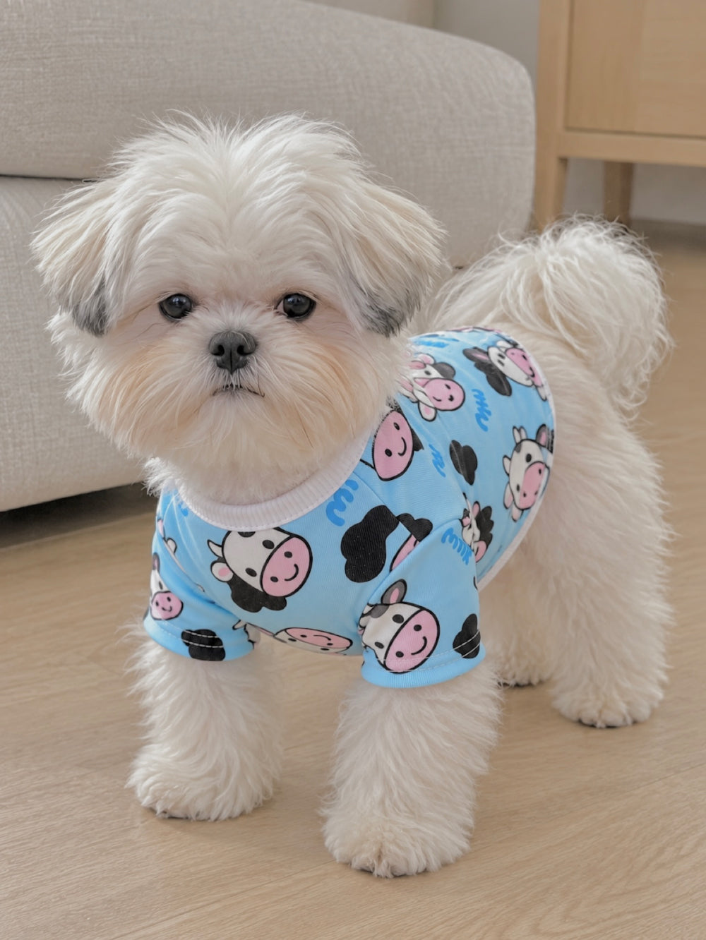 Milk Cow Long Sleeve Tee & Onesie