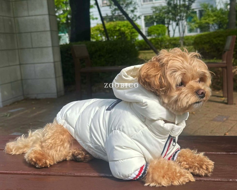 Tricolor Hooded Puffer Jacket (3 colors)