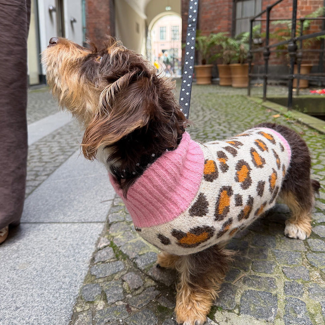 Aspen Woolies Leopard