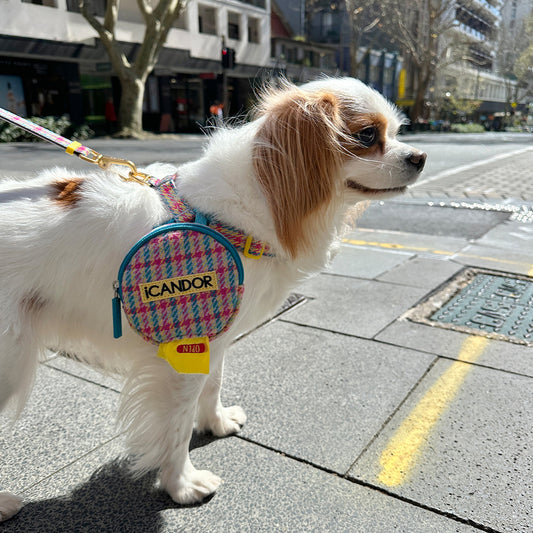 Dingle Dangle Poop Bag Pouch (Edinburgh Check) Preorder