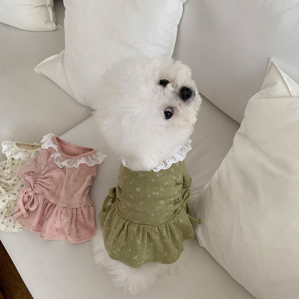 Lace Collar Shirred Dress (3 colors)