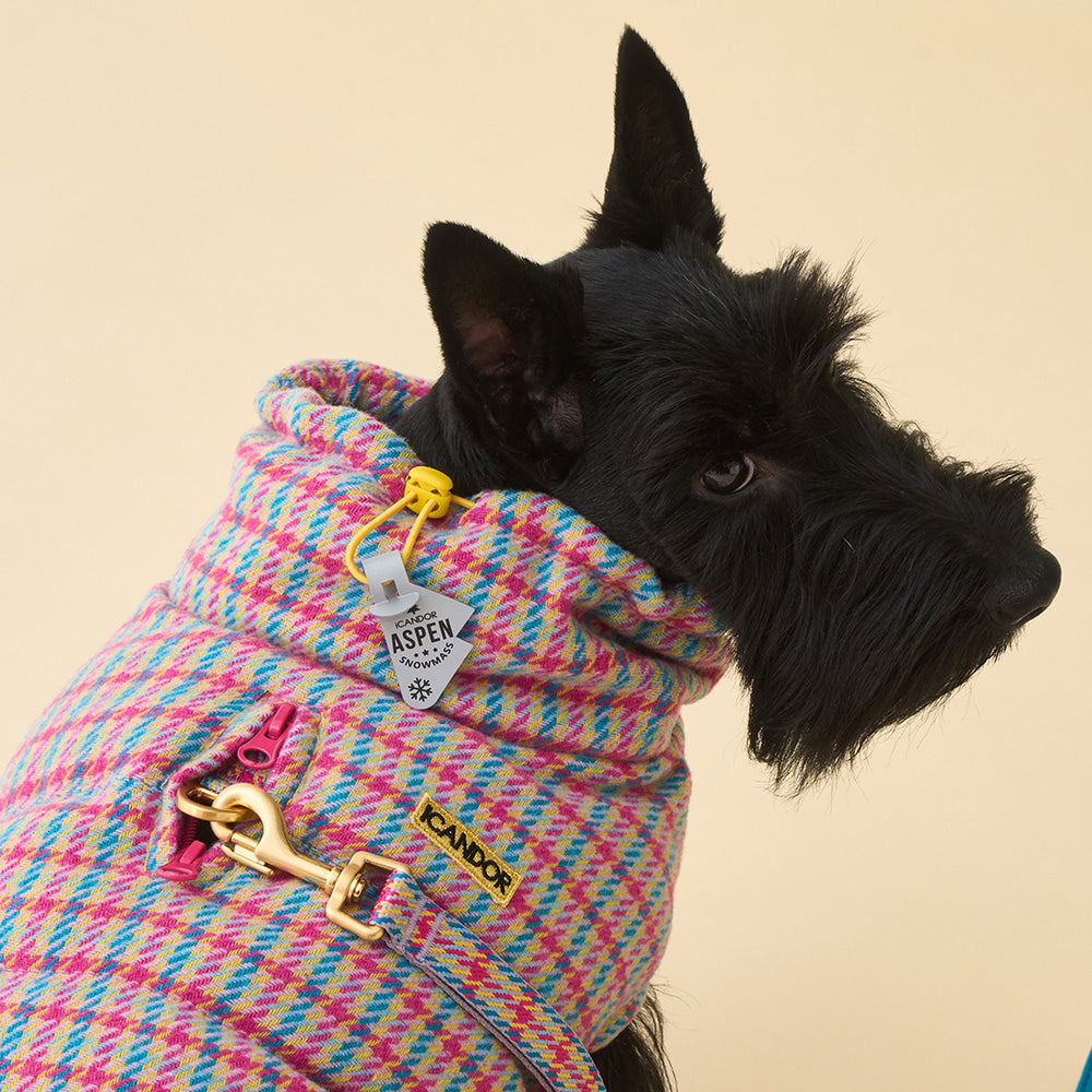 Thermo 3 Edinburgh Check Padding (Candy Tartan) Preorder