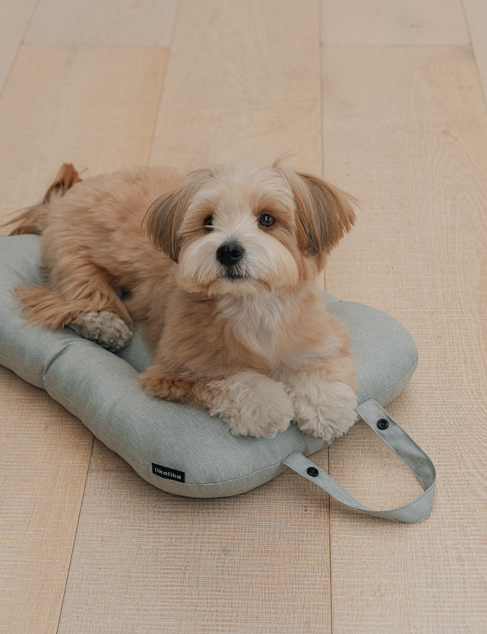 Duo Flex Pet Stroller Additional Items