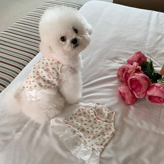 Rose Garden Sleeveless Tee / Dress