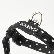 No-Pull Harness (Polka Dot)