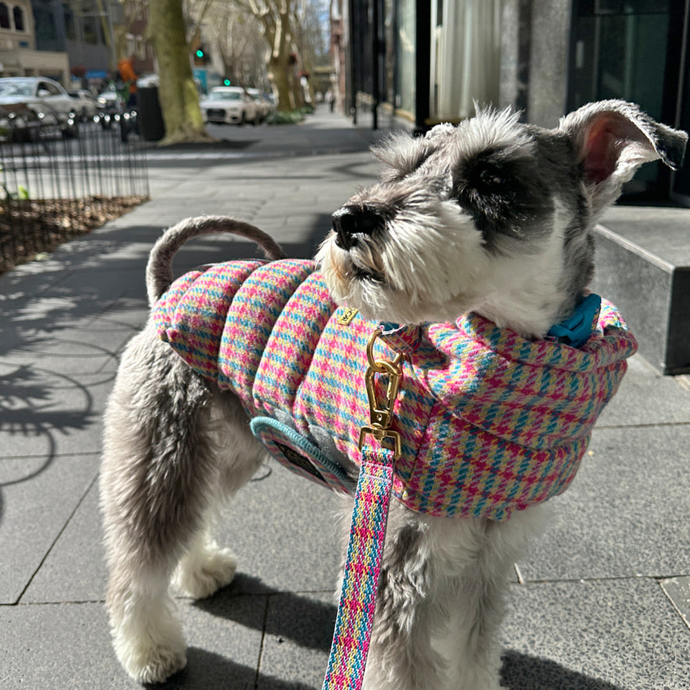 Thermo 3 Edinburgh Check Padding (Candy Tartan) Preorder