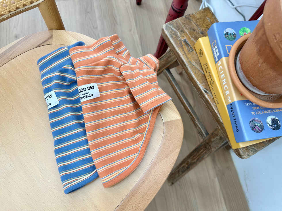 Good Day Stripe Turtleneck Tee (2 colors)