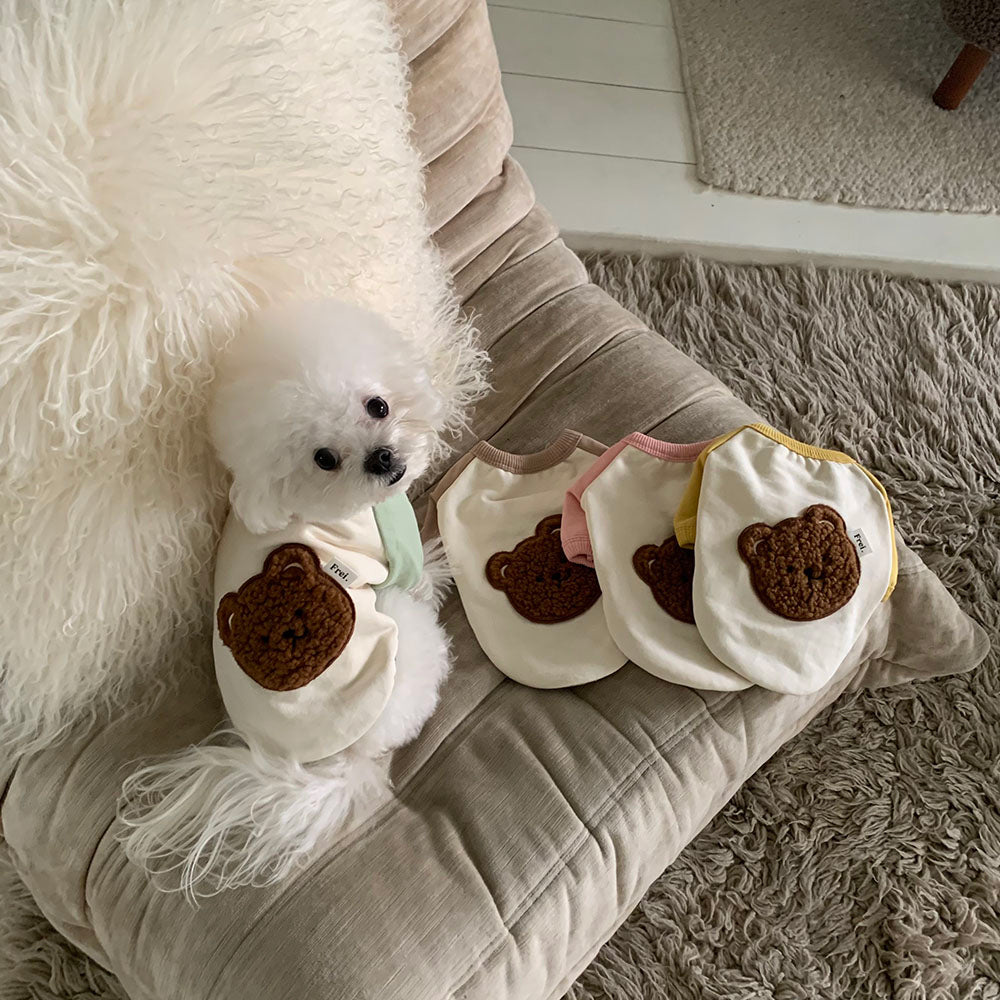 Bear Patch Raglan Sweatshirt (4 colors)