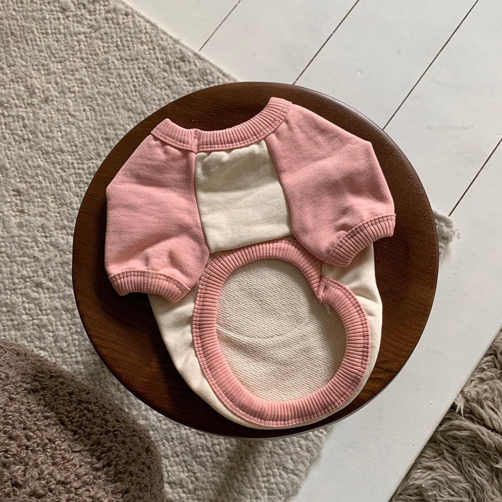 Bear Patch Raglan Sweatshirt (4 colors)