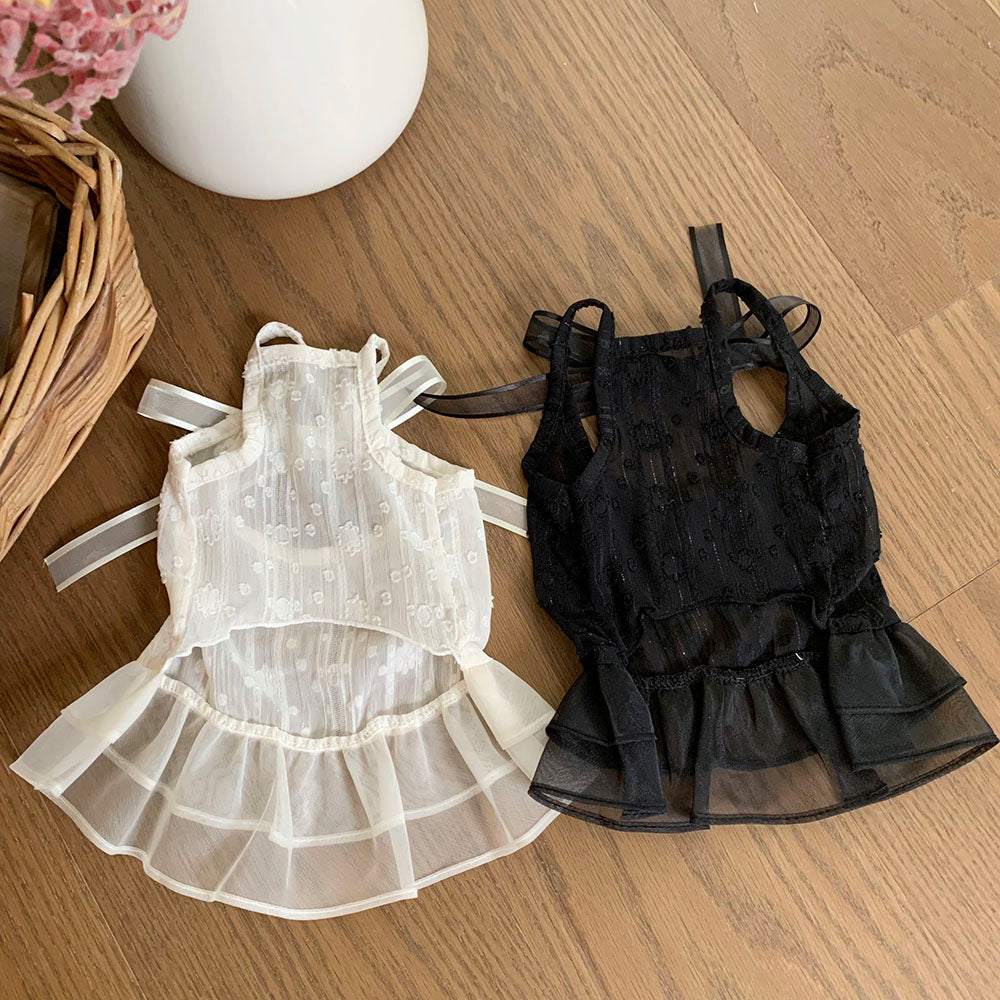 Ballet Sheer Dress (2 colors)