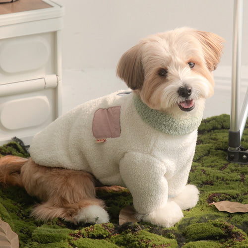 Winter Palette Fleece T-shirt (3 colors)