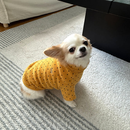 Polka Corduroy Turtleneck Tee (5 colors)