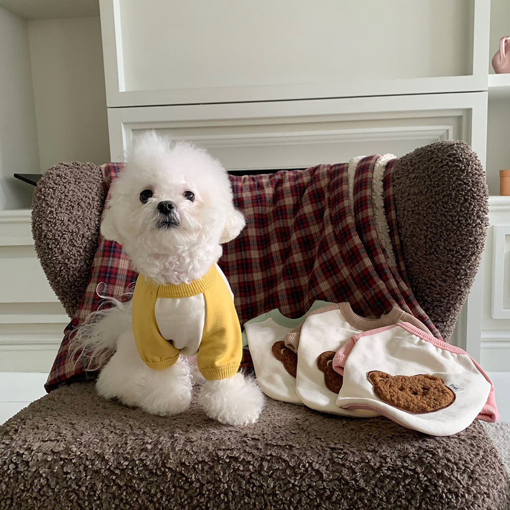 Bear Patch Raglan Sweatshirt (4 colors)