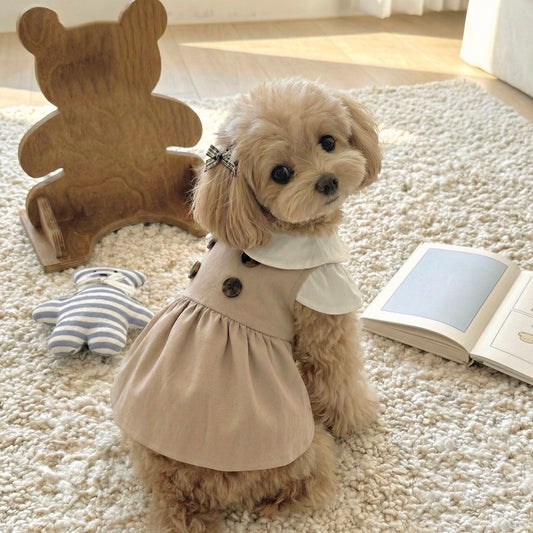 Trench School Dress (2 colors)