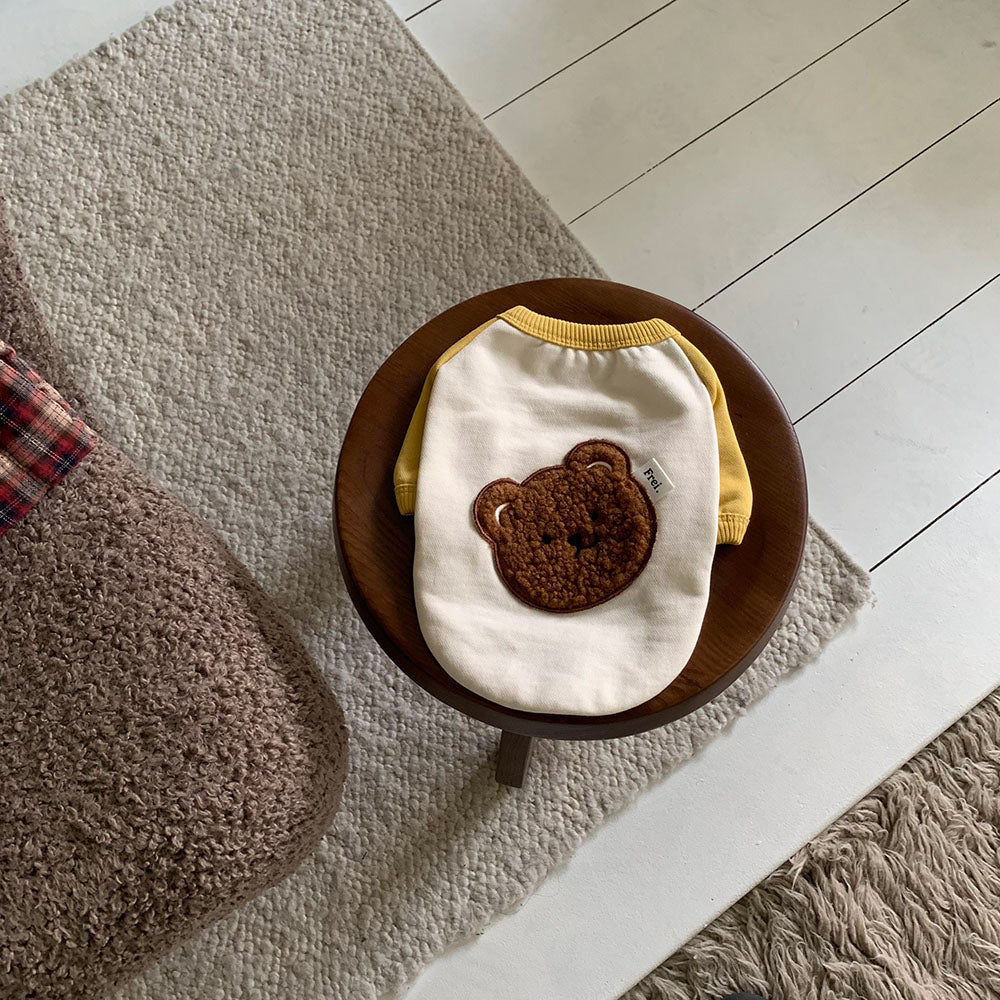 Bear Patch Raglan Sweatshirt (4 colors)