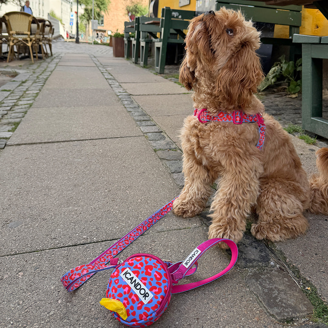 Gentle Leash Bolt, Long (Leopard Lavender Blue)