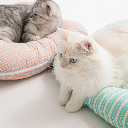 Cat Cushion Bed (2 Colors)