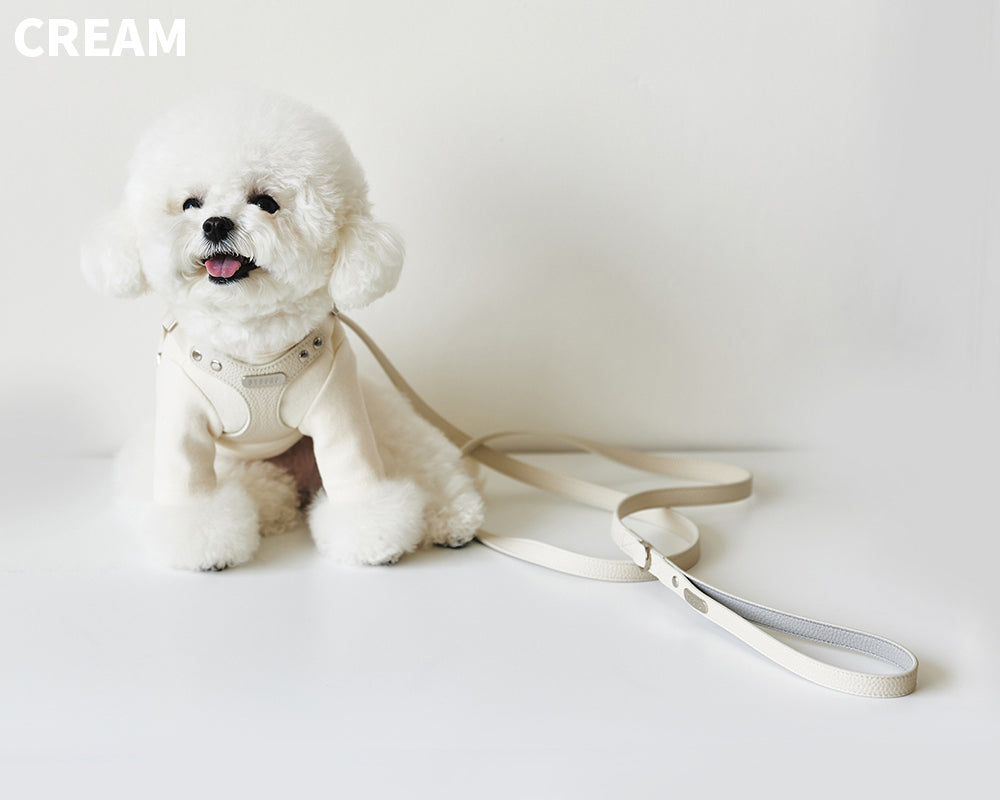 Delight One-Touch Buckle Harness (4 colors) preorder