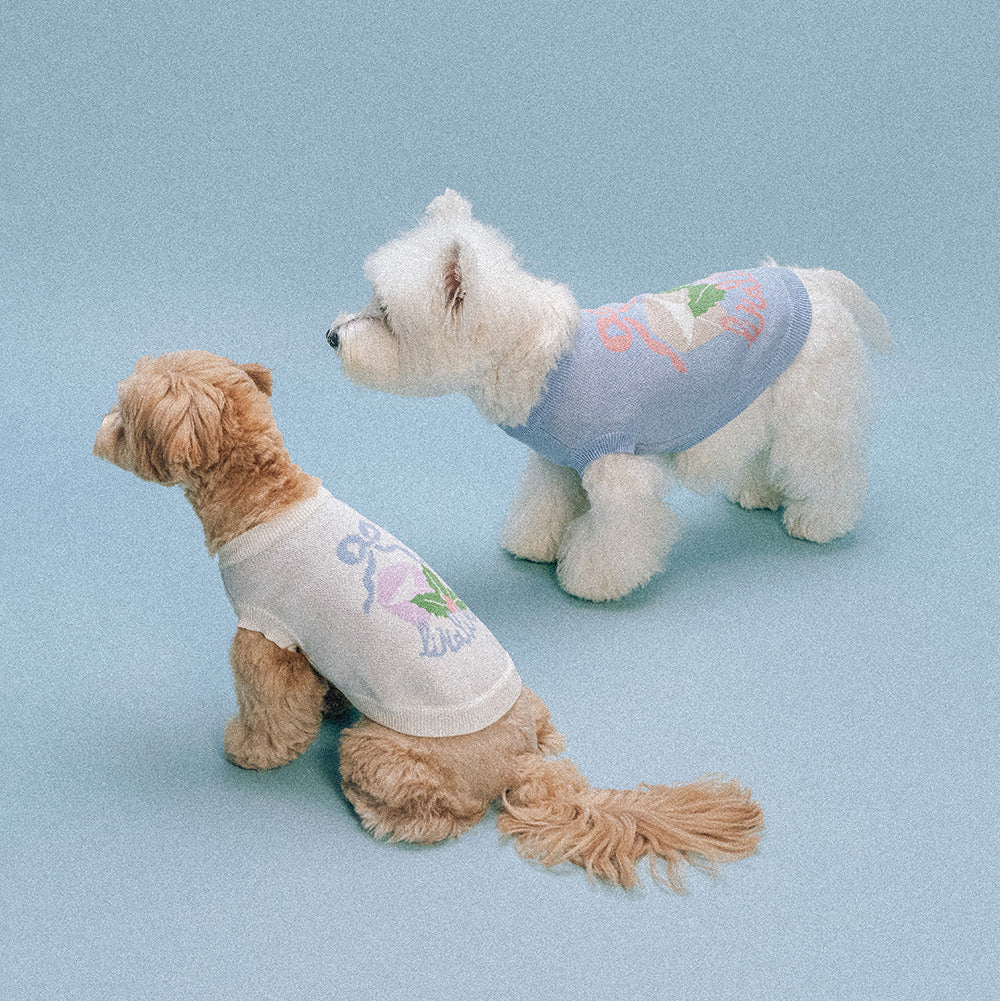 Moment Knit (2 colors) preorder