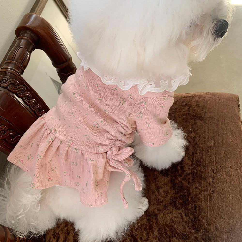 Lace Collar Shirred Dress (3 colors)