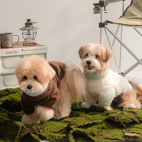 Winter Palette Fleece T-shirt (3 colors)