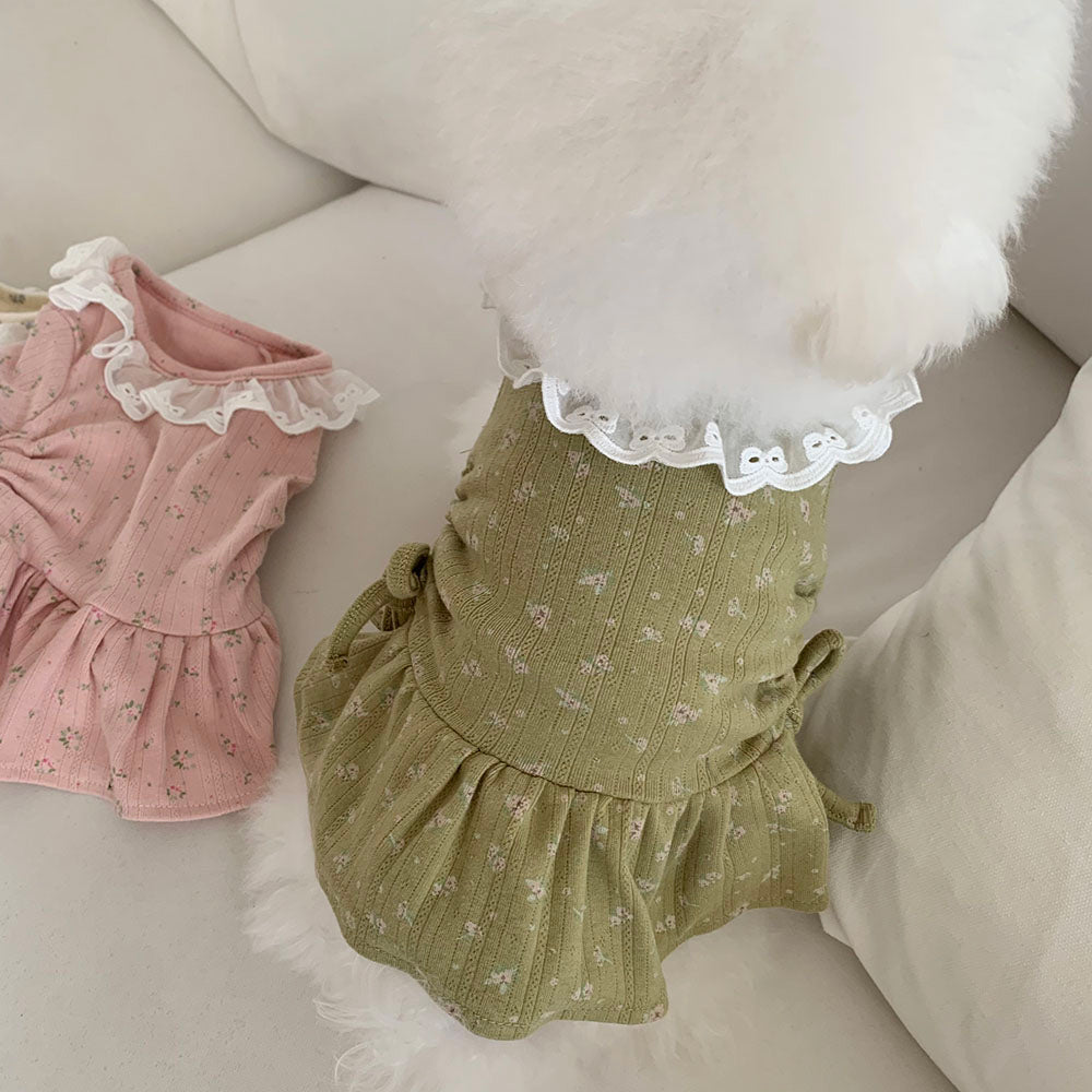 Lace Collar Shirred Dress (3 colors)