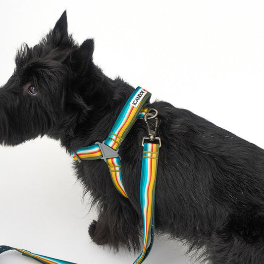 No-Pull Harness (Ripple)