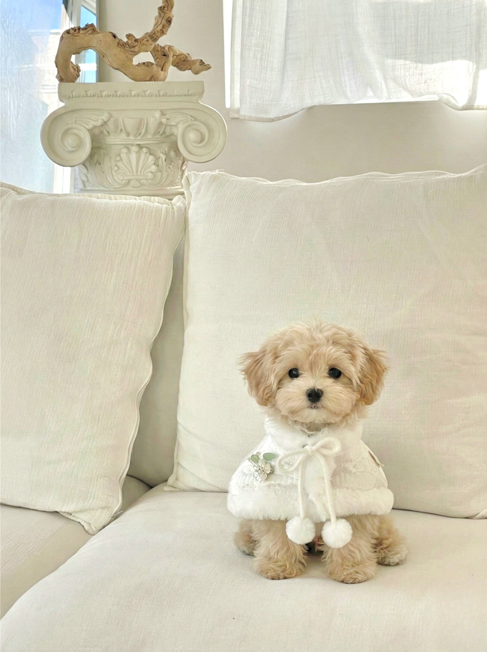 Flower Mink Fur Hanbok Cape (2 colors)