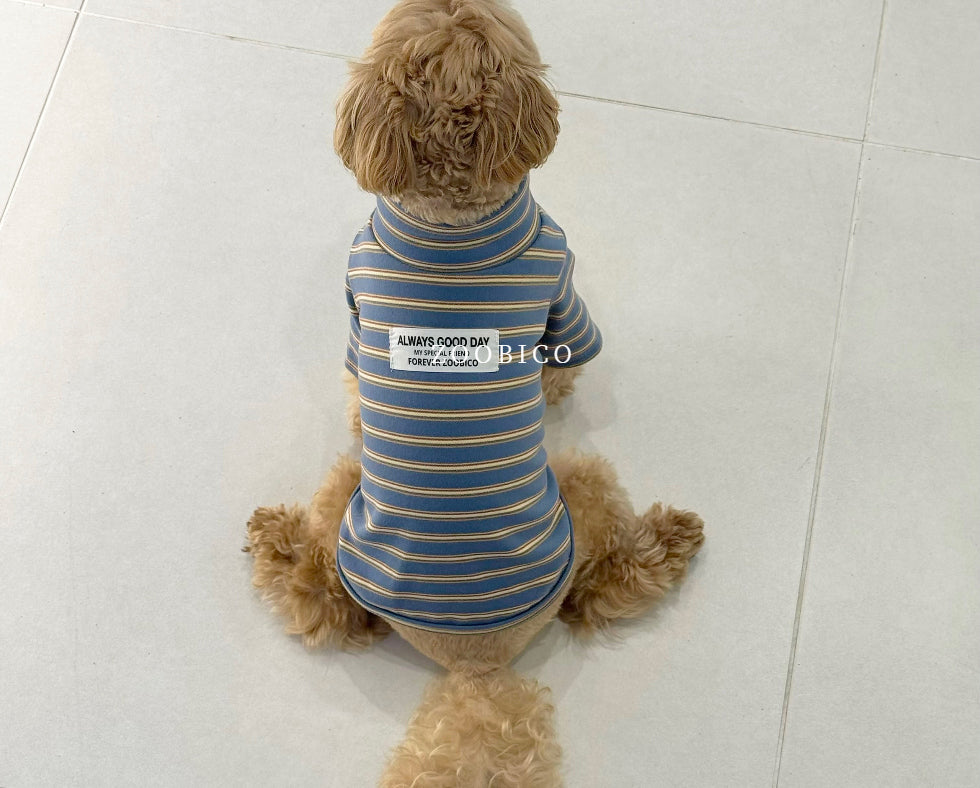 Good Day Stripe Turtleneck Tee (2 colors)