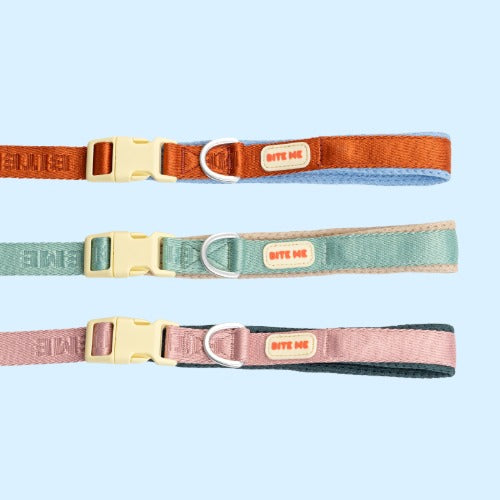 Comfort Leash (3 colors)