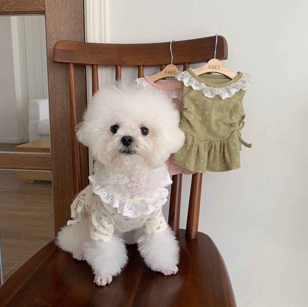 Lace Collar Shirred Dress (3 colors)