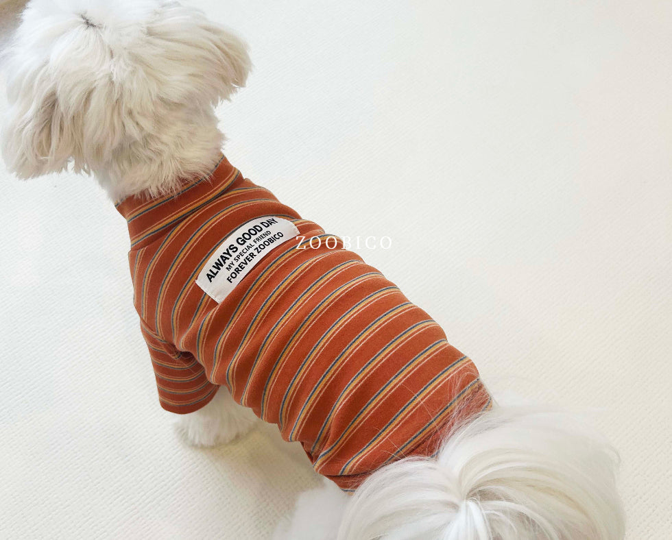 Good Day Stripe Turtleneck Tee (2 colors)