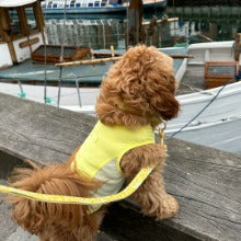 Ocean Cooling Vest (Lemon Sherbet)
