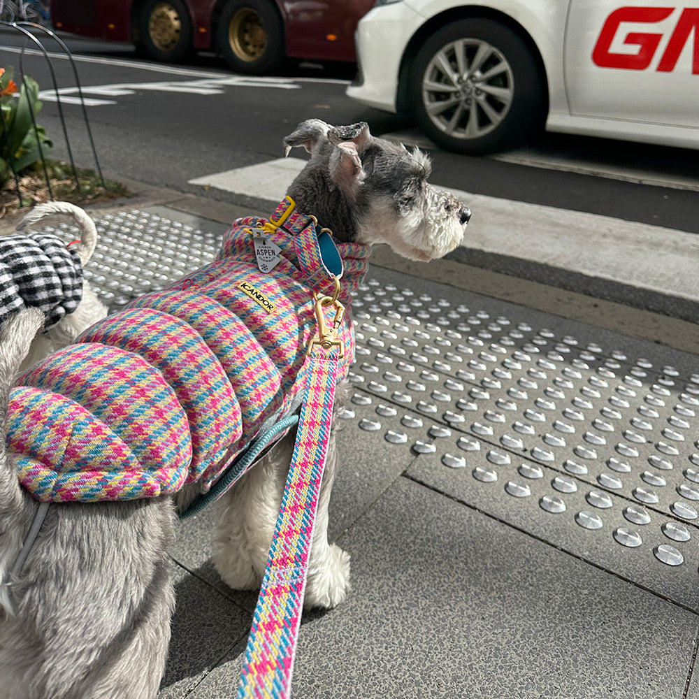 Thermo 3 Edinburgh Check Padding (Candy Tartan) Preorder