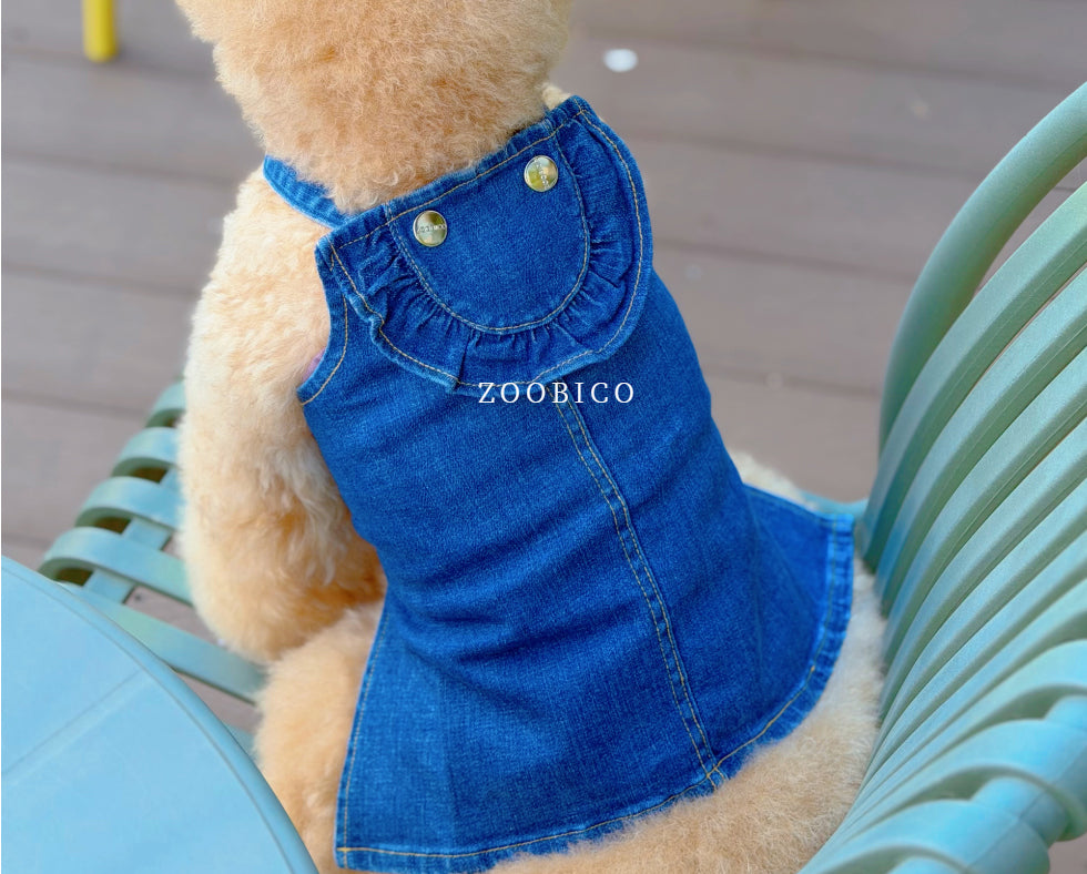 Washed Denim Onesie & Dress