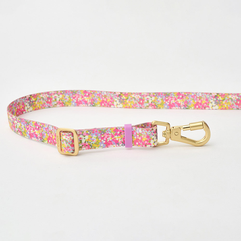 Gentle Leash Bolt, Long (Flora)