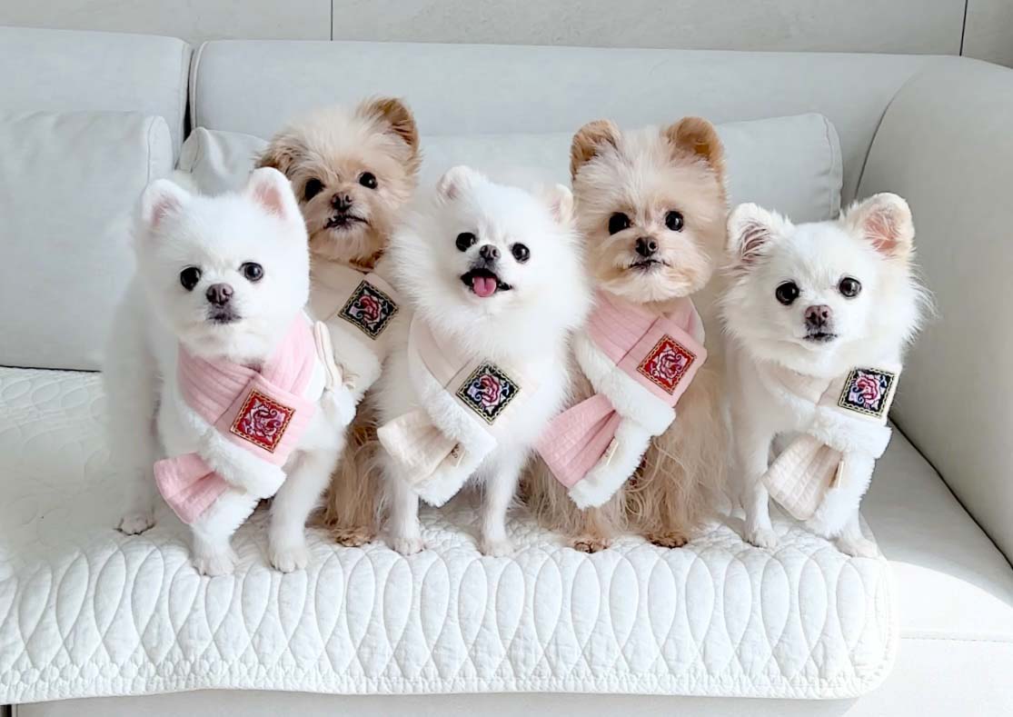 Hanbok Quilted Scarf (2 colors)