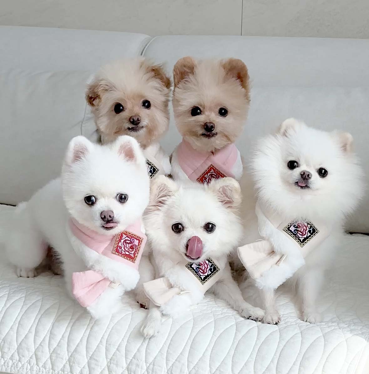 Hanbok Quilted Scarf (2 colors)