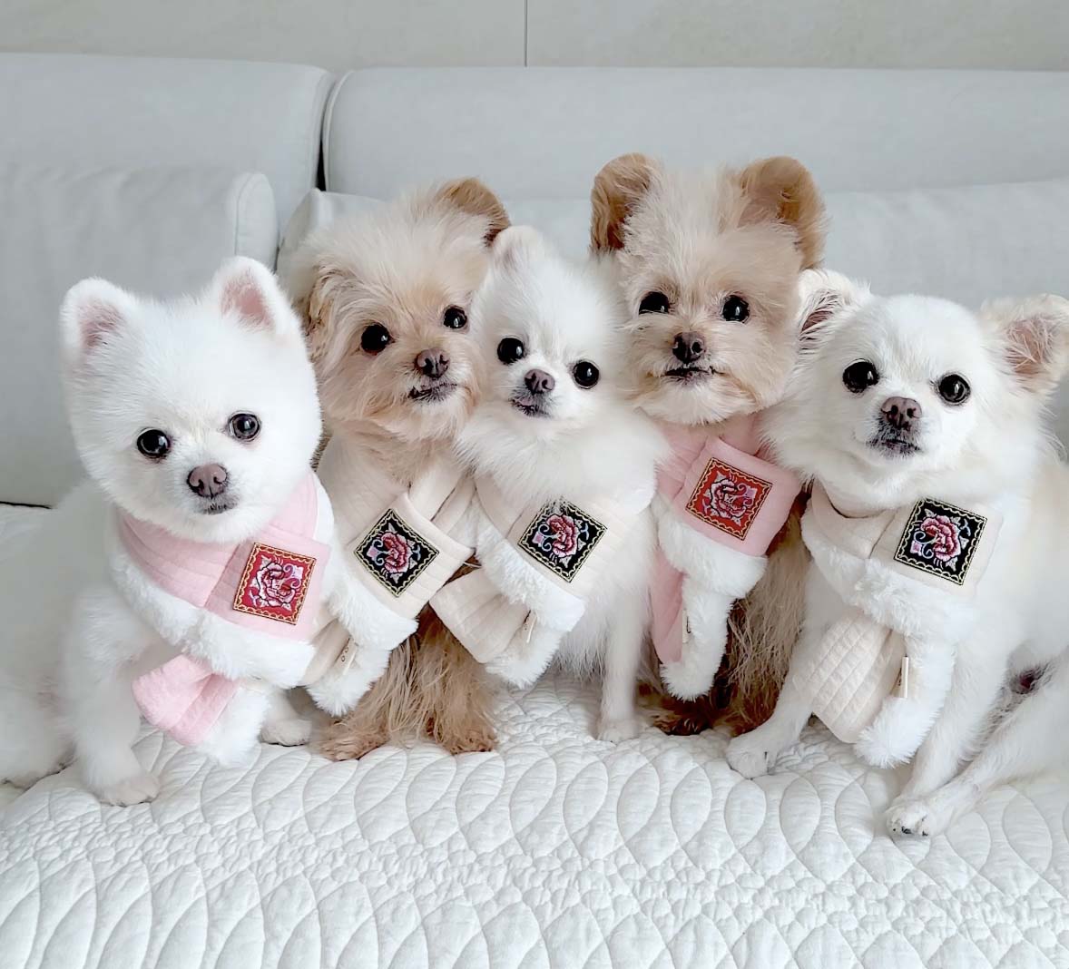 Hanbok Quilted Scarf (2 colors)