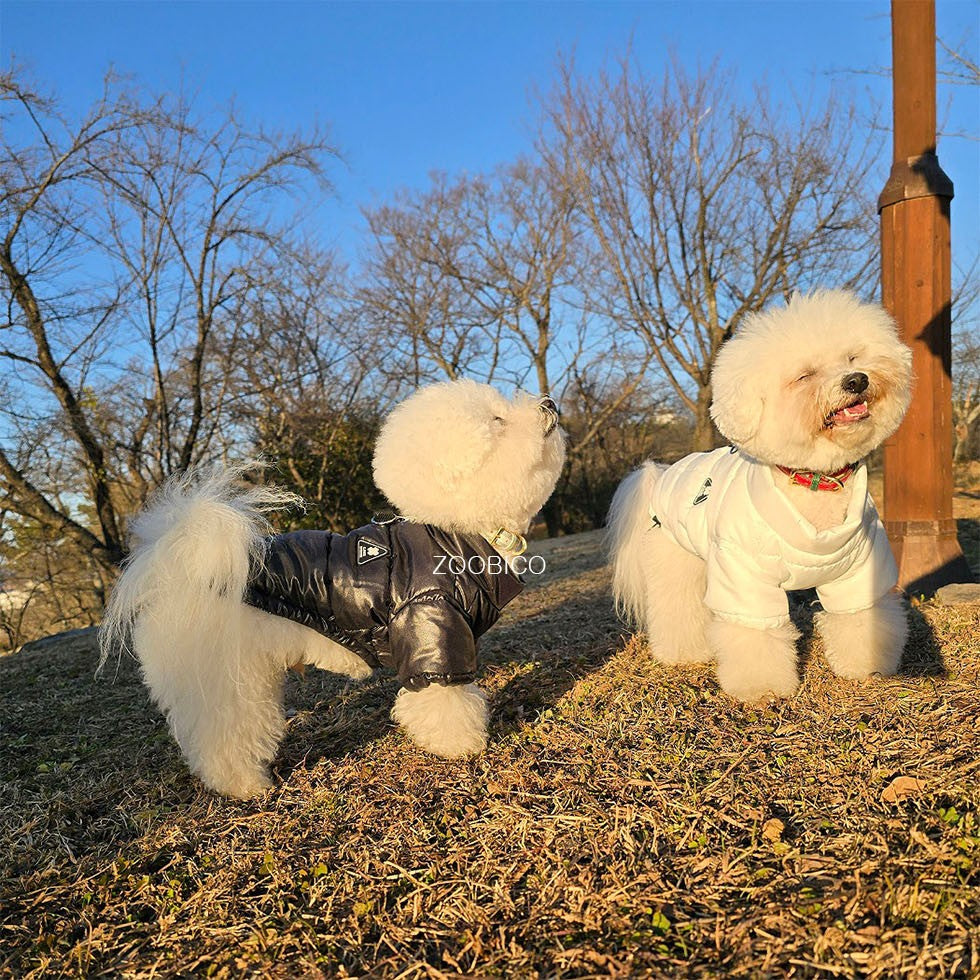 Outdoor Glossy Puffer Jacket (2 colors)