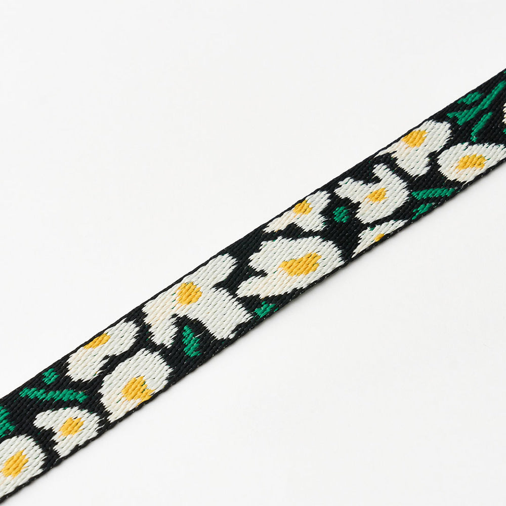 Gentle Collar XS 15mm (Big Fish)